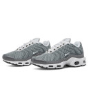 Кроссовки Nike Air Max Plus Flat Pewter White