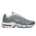 Купить Nike Air Max Plus Flat Pewter White FKS2355044