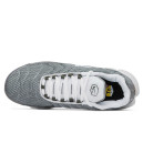 Nike Air Max Plus Flat Pewter White DV7665-002