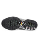 Nike Air Max Plus Flat Pewter White DV7665-002