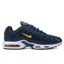 Купить Nike Air Max Plus French Football Federation FKS2356939
