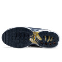 Nike Air Max Plus French Football Federation FB3350-400