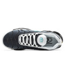 Оригинал Nike Air Max TN Plus Blue Grey