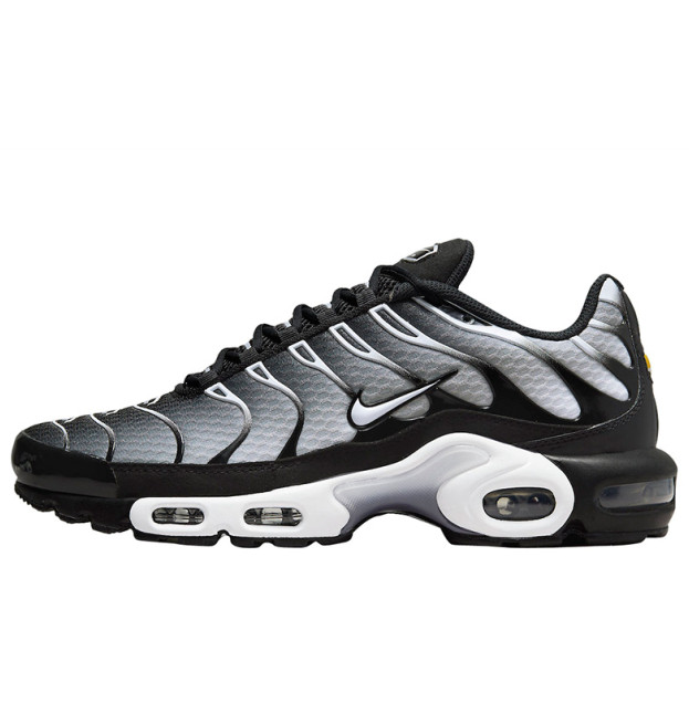 Nike Air Max Plus Black White Gradient DM0032-003