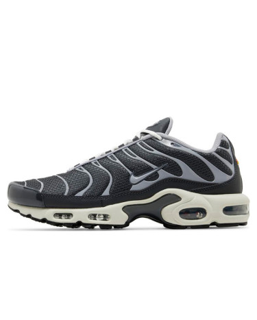 Nike Air Max Plus Iron Grey DZ2655-001