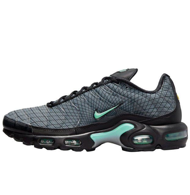 Nike Air Max Plus Black Turquoise FB3351-001