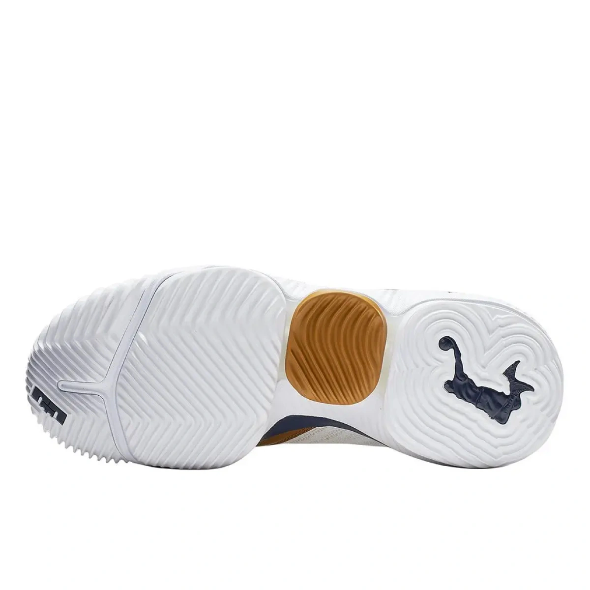 Lebron 16 air trainer best sale