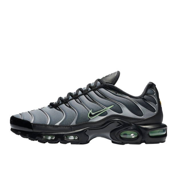 Nike Air Max Plus Black Particle Grey Vapour Green CZ7552-001