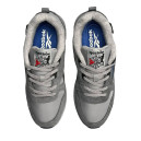 Оригинал Reebok Classic Leather Hexalite Cordura Light Gray