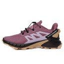 Купить Salomon Supercross 4 Gore-Tex Purple Black FKS2359641