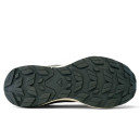 Salomon ELIXIR Activ Beige Black 2360398