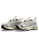 Кросівки Salomon XT-6 FT Beige Olive
