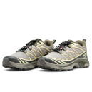 Кросівки Salomon XT-6 Gore-Tex Beige Grey
