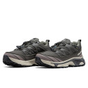 Кросівки Salomon XT-6 Pro Street Thinsulate Gore-Tex Brown Beige