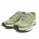 Кросівки Salomon XT-6 GTX Quick-Lace Mesh Olive