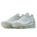 Кросівки Nike Air VaporMax Plus Grey