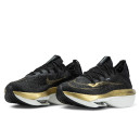 Кроссовки Nike Air Zoom Alphafly NEXT 2 Black Metallic Gold Grain
