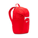 Придбати Рюкзак Nike ACDMY TEAM BKPK 2.3 FKS2353664