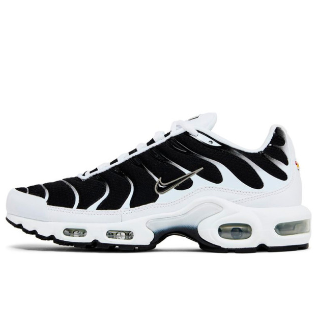 Nike Air Max Plus White Black Metallic Pewter CT1094-102