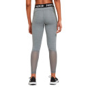 Спортивная одежда Легінси Nike 365 TIGHT