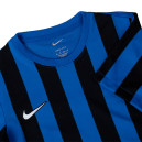 Придбати Футболка Nike NK DF STRP DVSN IV JSY SS FKS2352070