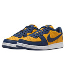 Кросівки Nike Terminator Low Michigan