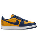 Придбати Nike Terminator Low Michigan FKS2351566