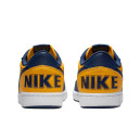 Nike Terminator Low Michigan FJ4206-700