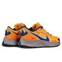 Оригінал Nike Pegasus Trail 3 Total Orange