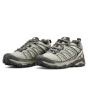 Кросівки Salomon Speed Cross Pro Gore-Tex Thinsulate Grey