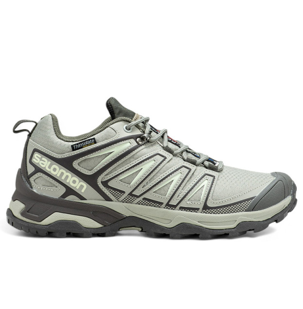 Salomon Speed Cross Pro Gore-Tex Thinsulate Grey