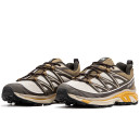 Кросівки Salomon XT-6 Expanse Beige Brown