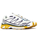 Кросівки Salomon XT-6 GTX LAB Violet White