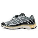 Купить Salomon XT-6 Advanced Dover Silver Black FKS2351823