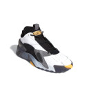 Кросівки Adidas Streetball White Grey