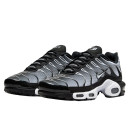 Кроссовки Nike Air Max Plus Black White Gradient