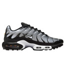 Купить Nike Air Max Plus Black White Gradient FKS2350441