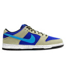 Купить Nike Dunk Low Pro ACG Celadon FKS2350196