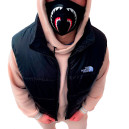 Верхній одяг унісекс The North Face 1996 Retro Nuptse Vest