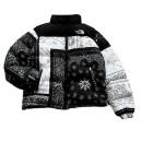 Верхній одяг Пуховик Унісекс The North Face 1996 Retro Nuptse Jacket