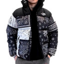 Придбати Пуховик Унісекс The North Face 1996 Retro Nuptse Jacket NF0A3C8D-A0K