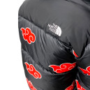 Верхній одяг Пуховик Унісекс The North Face 1996 Retro Nuptse Jacket