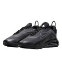 Кросівки Nike Air Max 2090 Black Wolf Grey