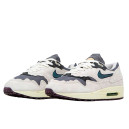 Кросівки Nike Air Max 1 Protection Pack