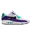 Придбати Nike Air Max 90 Grape FKS57261