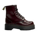 Черевики Dr. Martens Jadon Smooth Leather Platform Boots З ХУТРОМ