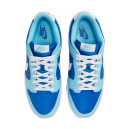 Оригінал Nike Dunk Low Argon 2022