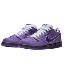 Кроссовки Nike SB Dunk Low Concepts Purple Lobster