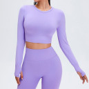 Рашгард Фіолетовий 2352399