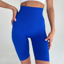 Спортивні Шорти Сині 2352404